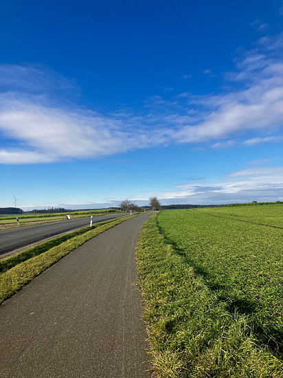 96/4 💯 - Richtung Westen bei Sonnenschein ☀️🍀🚴‍♂️ aber der kalte+starke Südwind war anstrengend 😥🥶