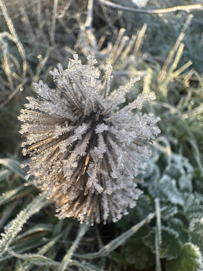 Winterpokal-Aktivität