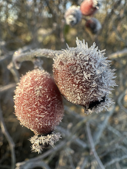 Winterpokal-Aktivität