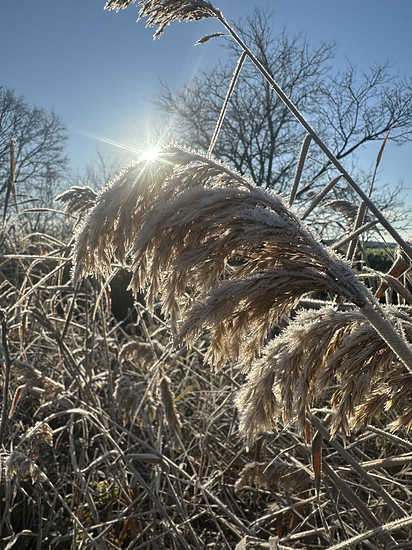 Winterpokal-Aktivität