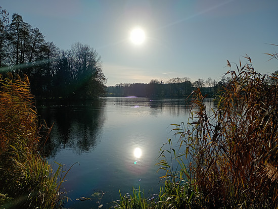 Winterpokal-Aktivität