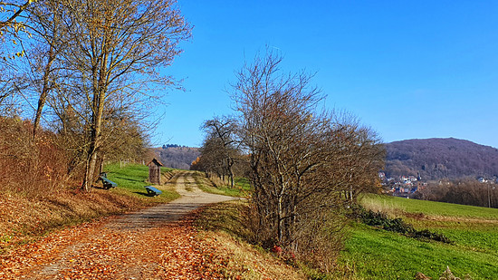 Mittagssonne genießen