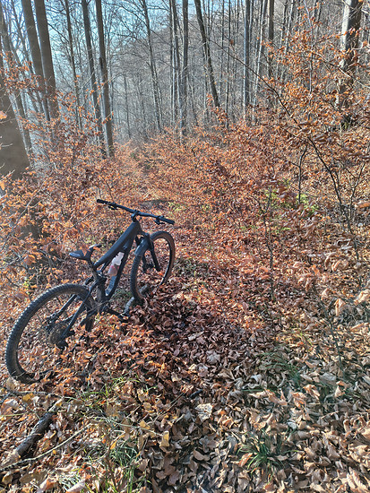 Winterpokal-Aktivität