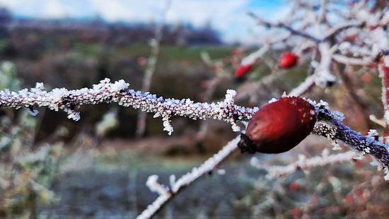 HerbstImpressionen 🍂🍁 ... FRANKENHAUSEN
