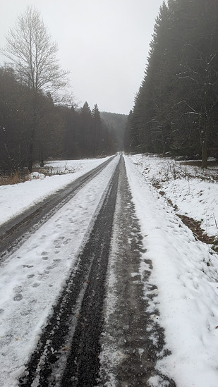 Gravel-Fahrt am Morgen