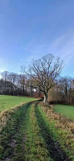 Ein schöner Samstag morgen zum Biken.