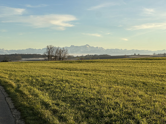 Kurz mal nach Salem zu Baader