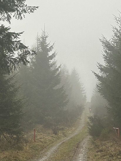 Nebel- und Sprühregenrunde