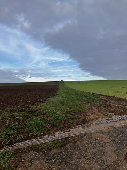 97/3 💯 - schöne Augenblicke mit Rehen 🍀🤩🚴‍♂️ - die 💯 Challenge neigt sich dem Ende zu 😇🤣🤣🤣