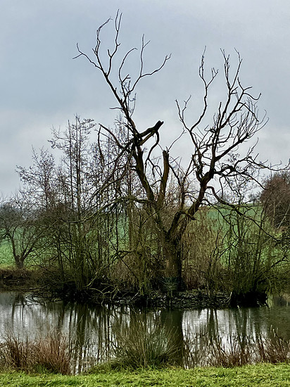 97/3 💯 - schöne Augenblicke mit Rehen 🍀🤩🚴‍♂️ - die 💯 Challenge neigt sich dem Ende zu 😇🤣🤣🤣