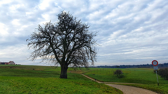 Kleine Runde vor der nächsten Regenfront