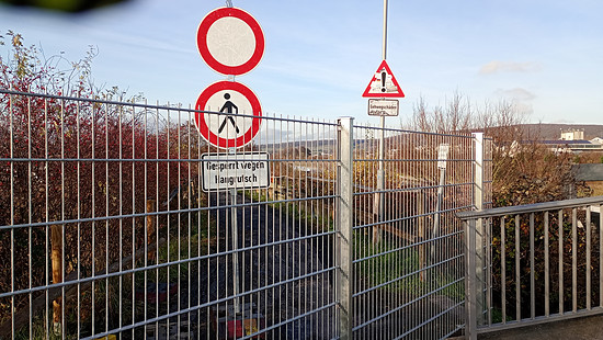 IMG 20251201 144304728 MFNR