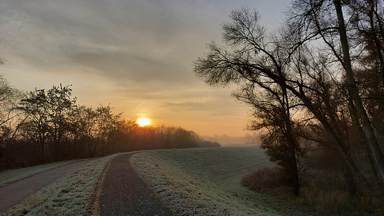 Winterpokal-Aktivität