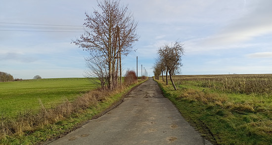 Winterpokal-Aktivität