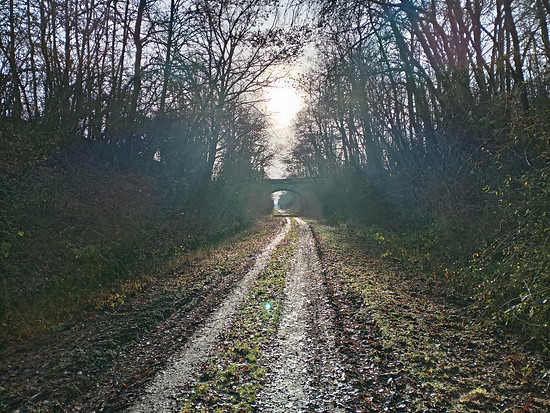 Winterpokal-Aktivität
