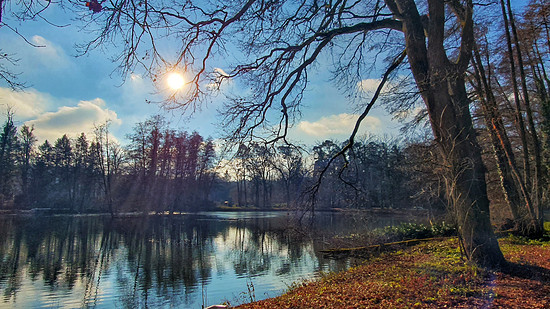 Langer Lauf mit kurzem Päuschen am Kreuzweiher