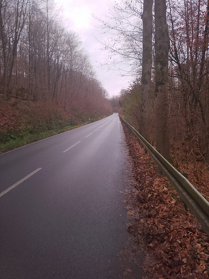 grau, trüb, nass und kalt 🤮