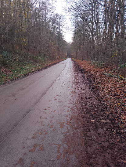 Hügelrunde zur Burg Blankenstein