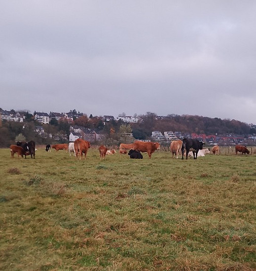 Cappuccino Runde zu meiner Mutter ☕😄