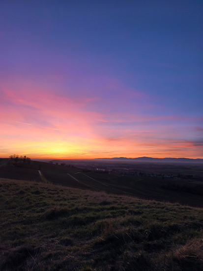Frühlingsgefühle unter Geiern 🌞