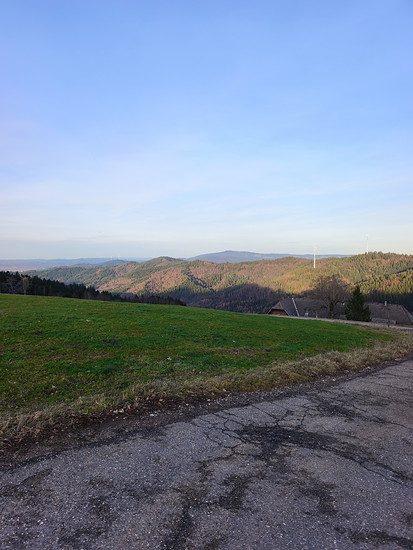 Frühlingsgefühle unter Geiern 🌞