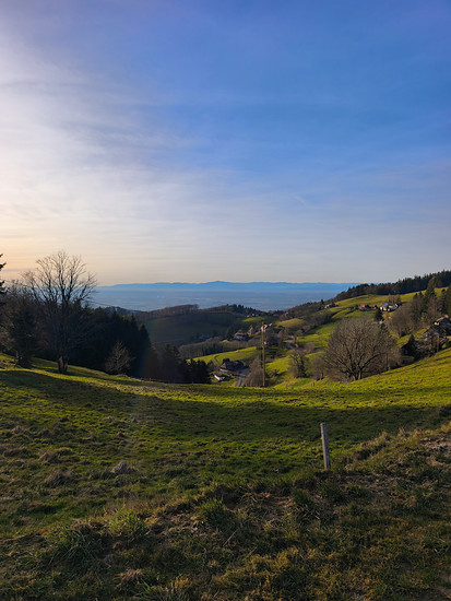 Frühlingsgefühle unter Geiern 🌞