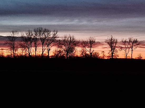Winterpokal-Aktivität