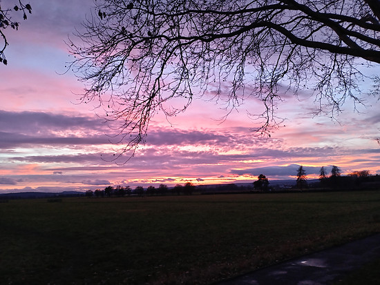 Winterpokal-Aktivität