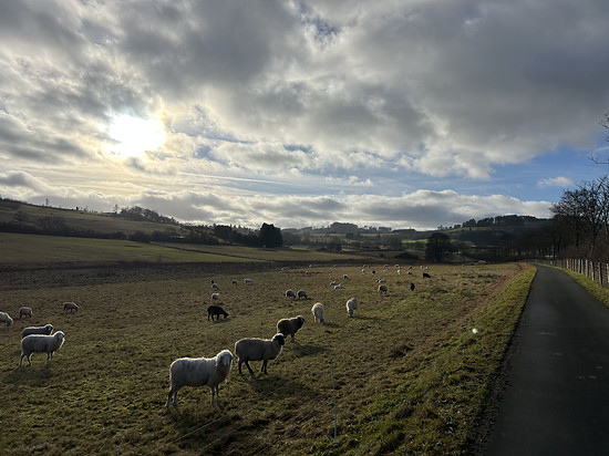 Dillkreis und Hinterland