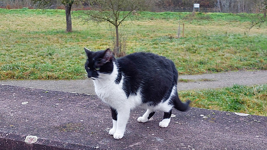 Winterpokal-Aktivität