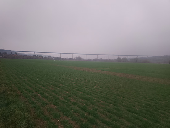 Cappuccino Runde zu meiner Mutter ☕😀