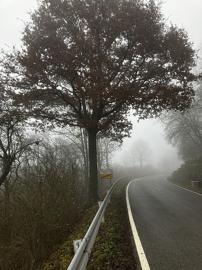 100/0 💯 „Sie haben Ihr Ziel erreicht!“ 🍀🚴‍♂️🚴‍♂️ mit Axel im Nebel den 100sten 💯 geradelt 🎉🎊🎈🏵️🏆