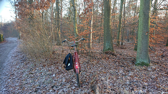 Winterpokal-Aktivität