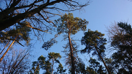 Winterpokal-Aktivität