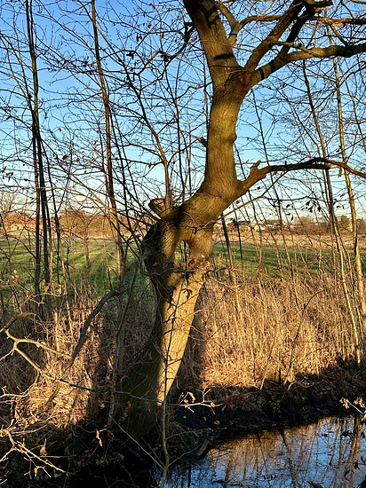 Winterpokal-Aktivität