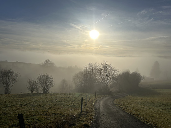 Morgennebel