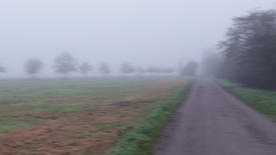 Winterpokal-Aktivität