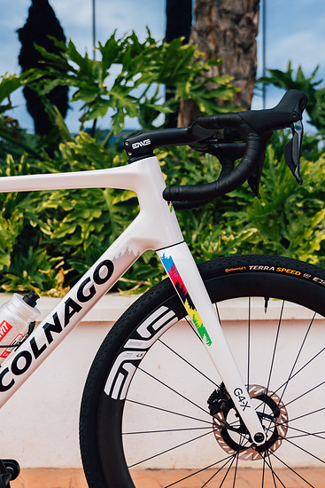 Colnago UAE TrainingCamp phGIONA197