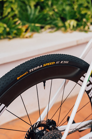 Colnago UAE TrainingCamp phGIONA202