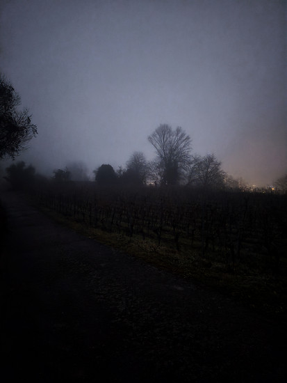 Hometrails &amp; Berganläufe