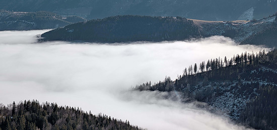Winterpokal-Aktivität