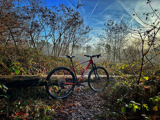 Morning Mountain Bike Ride