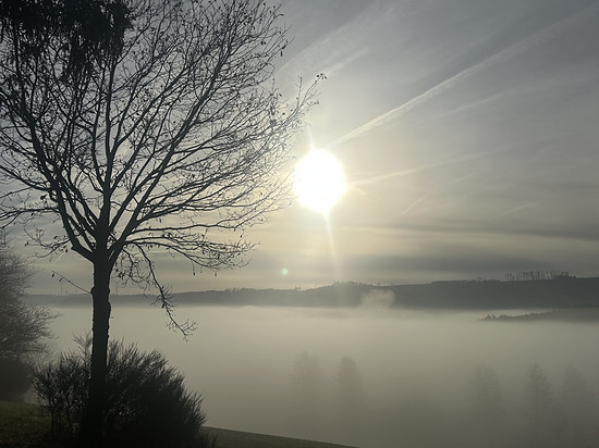 Durch den Morgennebel