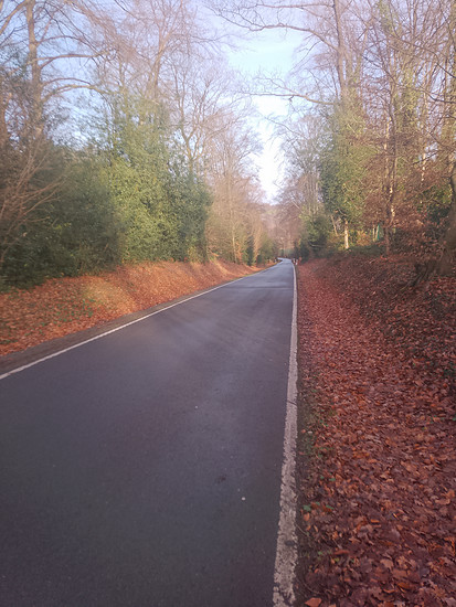 Langenberger Sender + Höhenmeter gesammelt 😅