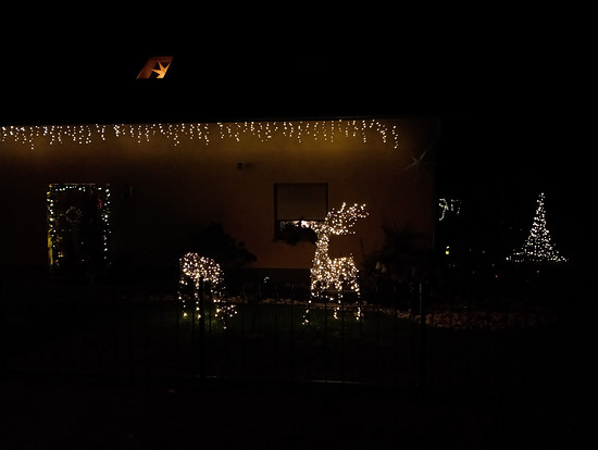 Winterpokal-Aktivität