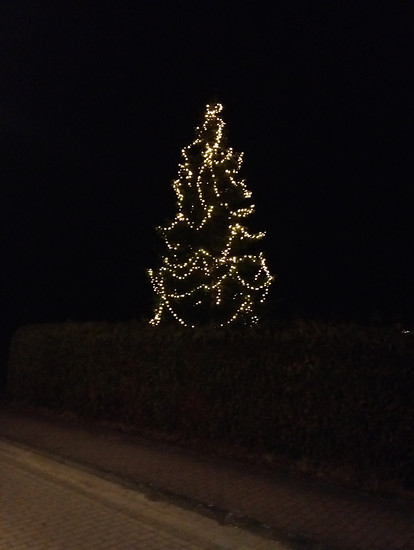 Winterpokal-Aktivität