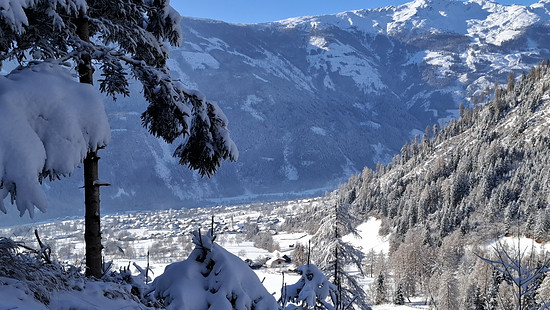 Winterpokal-Aktivität