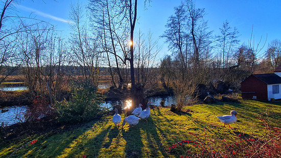 Weihnachten überlebt 😂