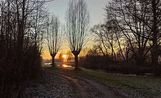 Winterpokal-Aktivität