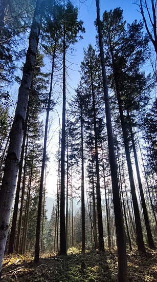 Winterpokal-Aktivität